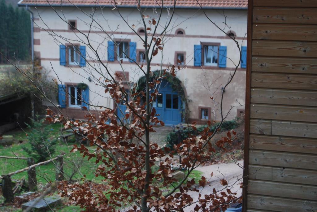 Auberge Du Ruxelier Hotel Cheniménil Eksteriør billede